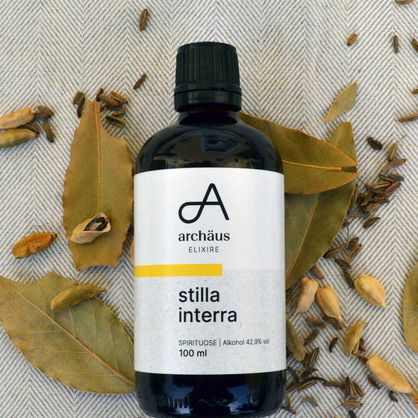 stilla interra