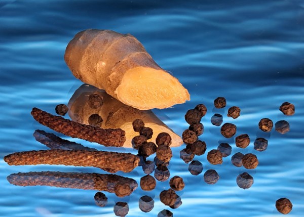 Langer Pfeffer – Wundermittel zur Darmsanierung?