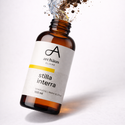 stilla interra