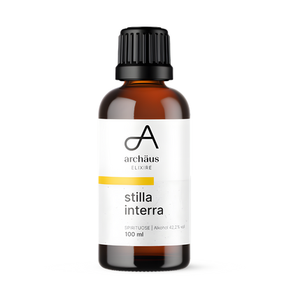stilla interra